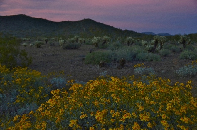 desert as night approaches